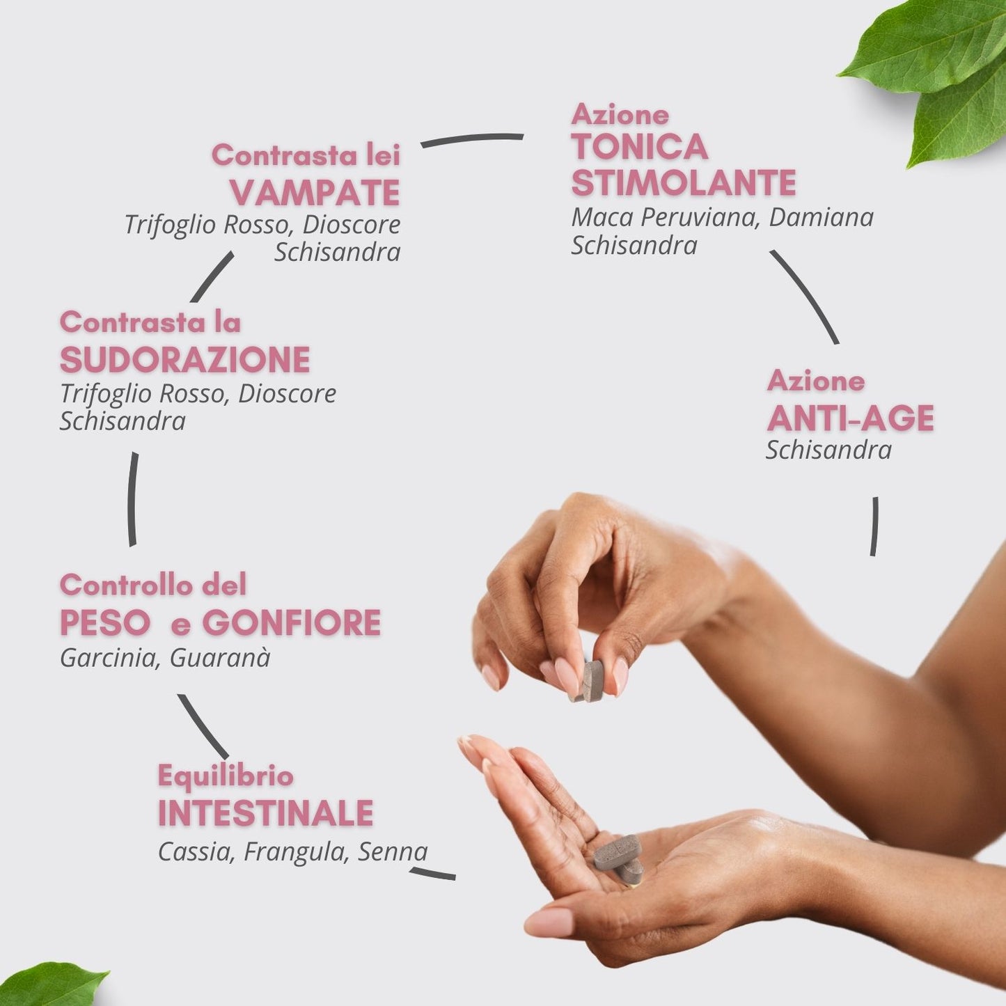 KEARVIT - INTEGRATORE MENOPAUSA