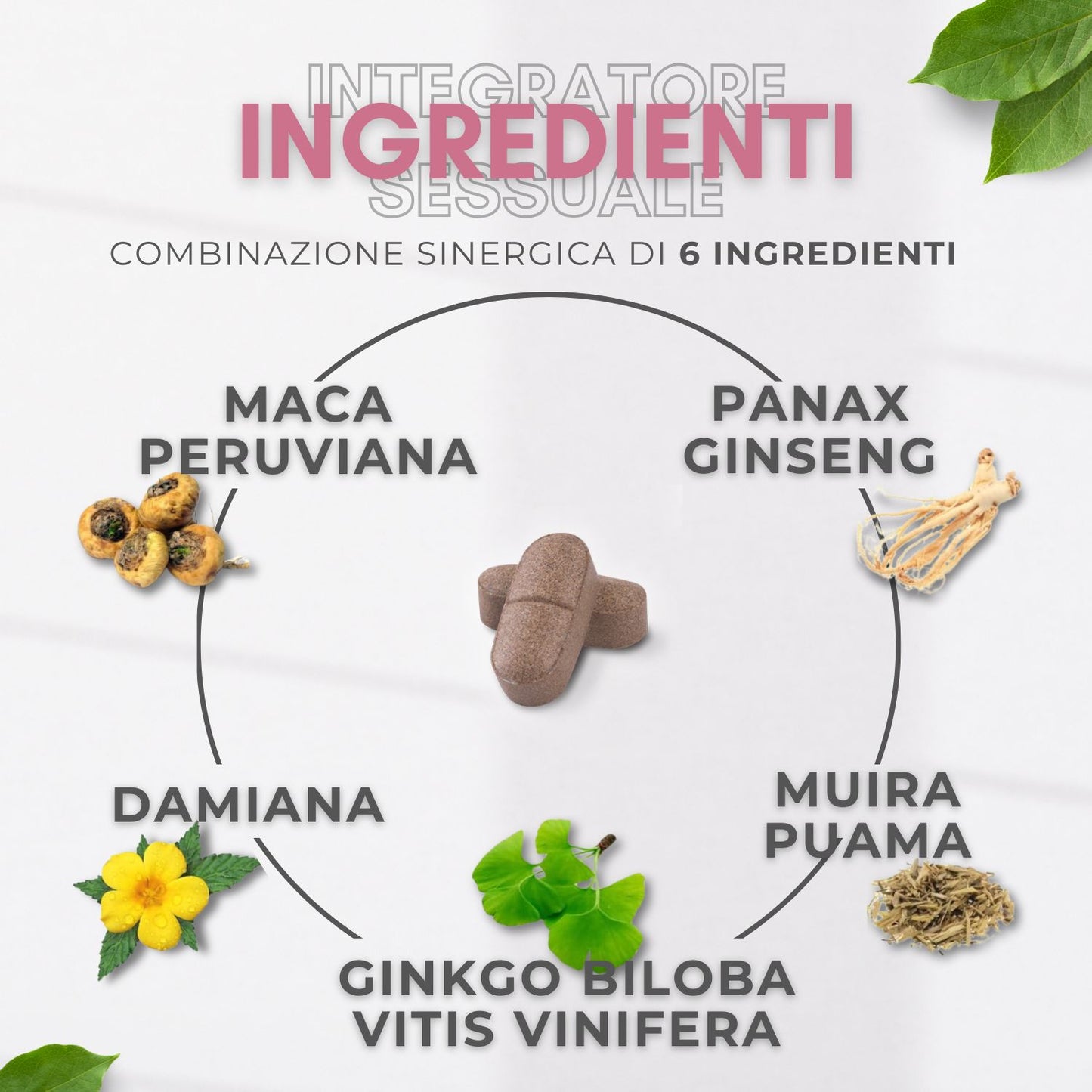Sensovit Donna